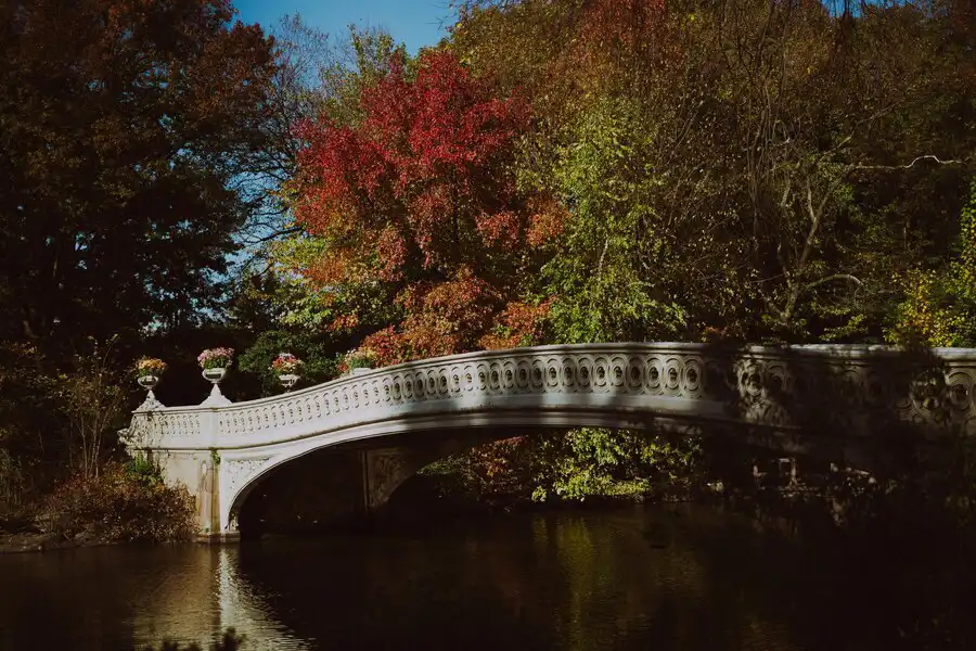 bridge-lake